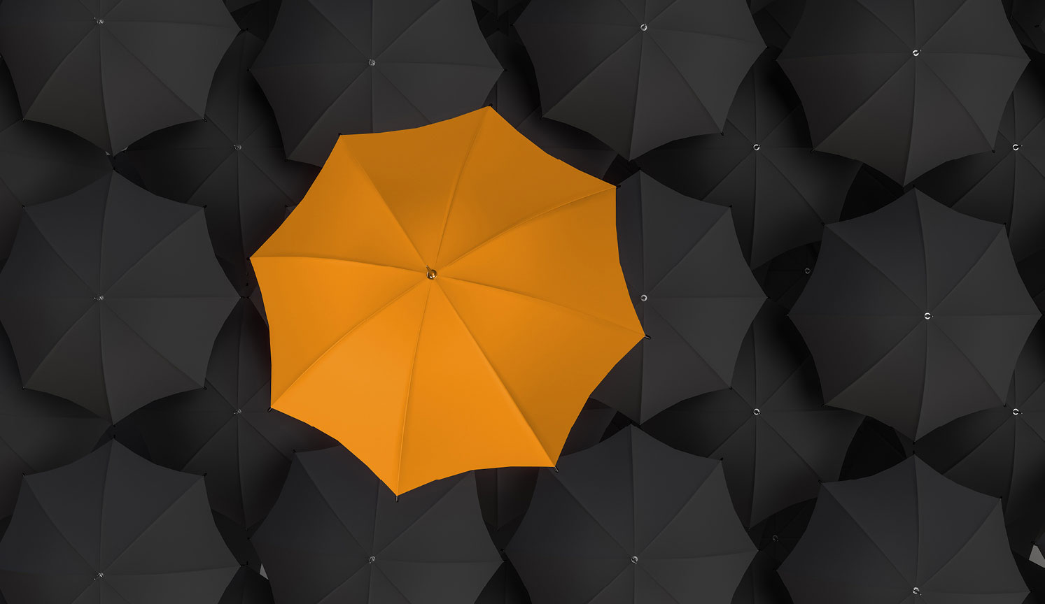 view from above of multiple open umbrellas, all black apart from one that is yellow